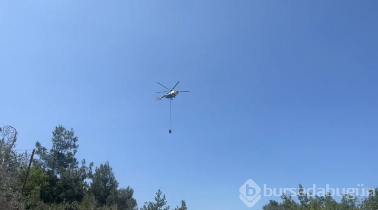 Bursa'daki yangından fotoğraflar!