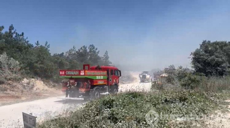 Bursa'daki yangından fotoğraflar!