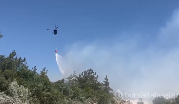Bursa'daki yangından fotoğraflar!