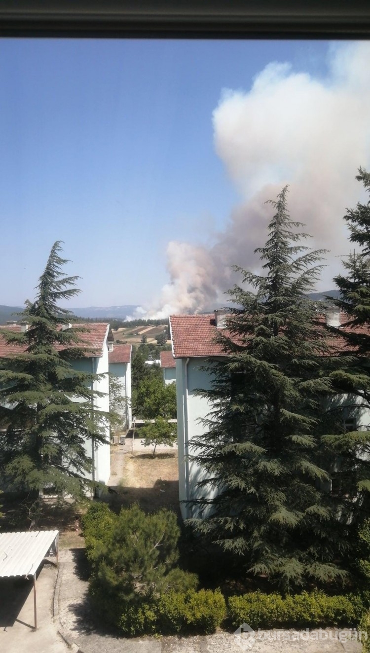 Bursa'daki yangından fotoğraflar!