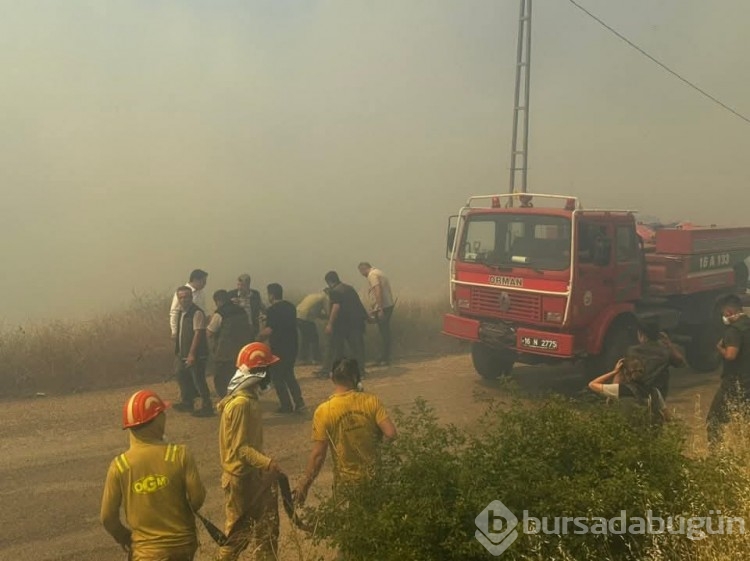 Bursa'daki yangından fotoğraflar!