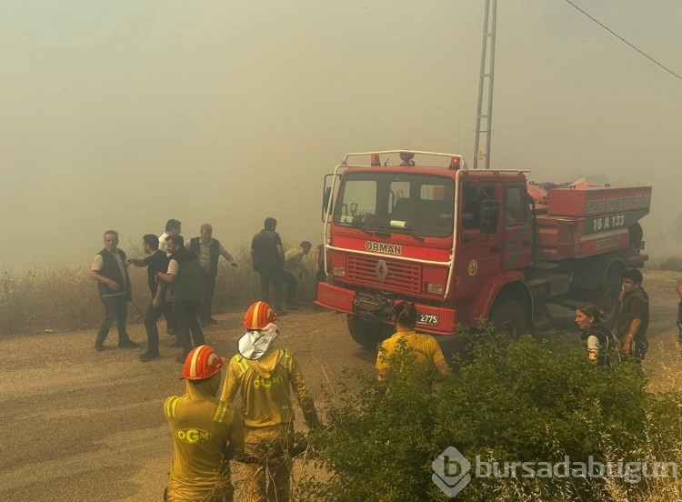 Bursa'daki yangından fotoğraflar!