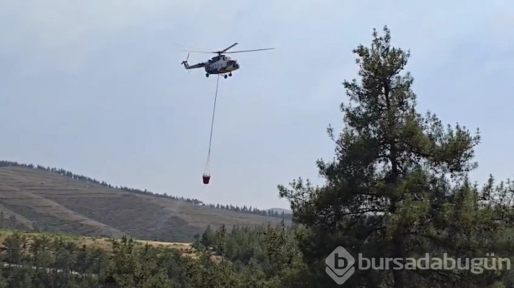Bursa'daki yangından fotoğraflar!