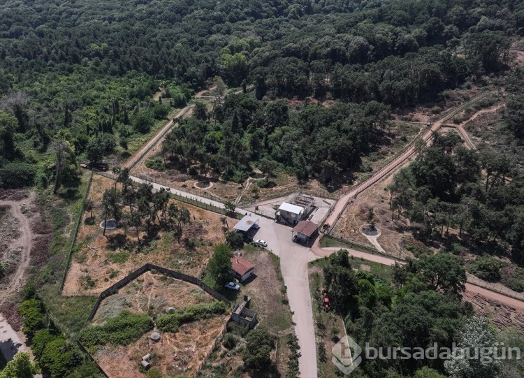 Bursa'daki barınaktan tüyler ürperten görüntüler