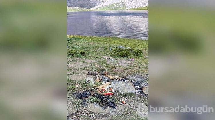 Sessiz kurbağaların yaşam alanı çöplüğe döndü