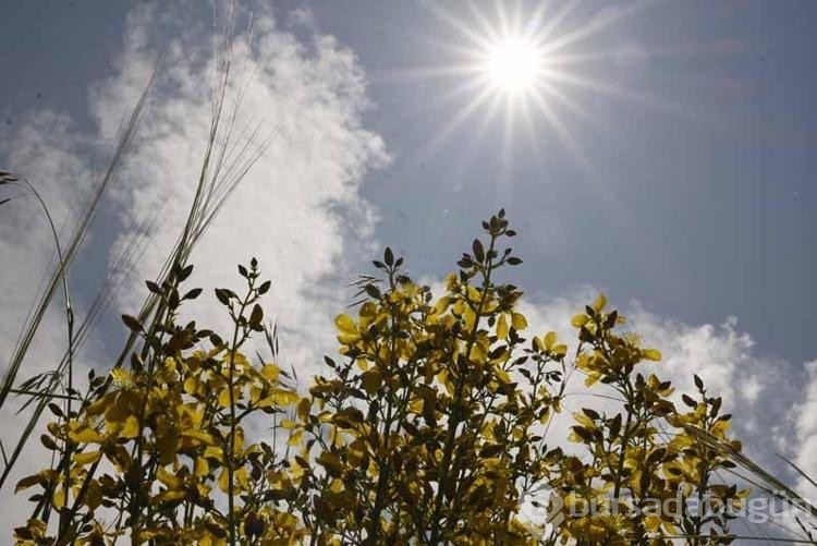 Bitlis'in gözde mekanı ilgi uyandırıyor