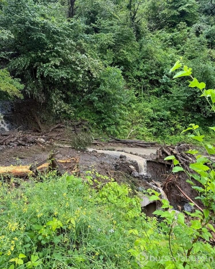 Trabzon'da sağanak; 5 mahalle yolunu giriş-çıkışını engelledi