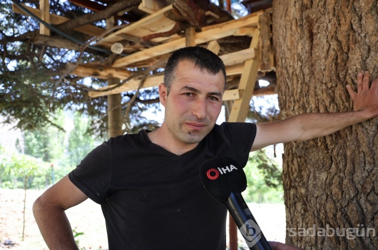 Sedir ağacında "masal diyarı" gibi yaşam alanı 