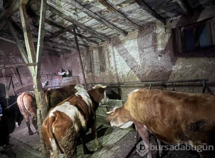 Yaşlı kadının 2 katlı evi alevlere teslim odu! 