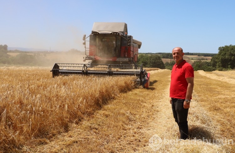  Çiftçiden sevindiren haber! Bafra Ovası'nda mahsul başladı...
