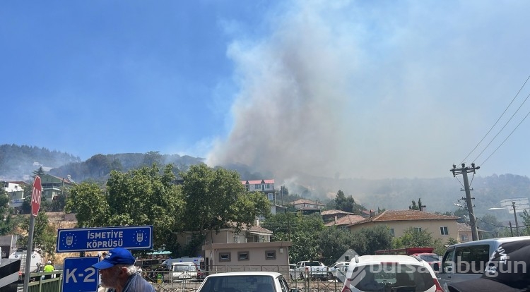 Bursa'daki yangından acı kareler...