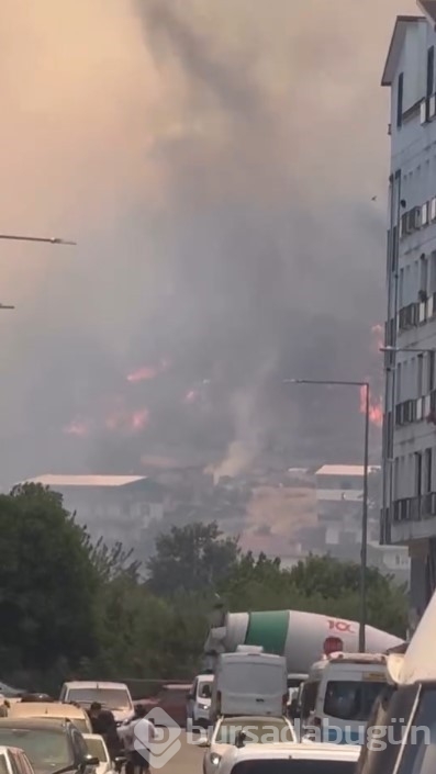 Bursa'daki yangından acı kareler...