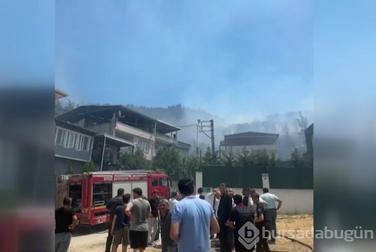 Bursa'daki yangından acı kareler...
