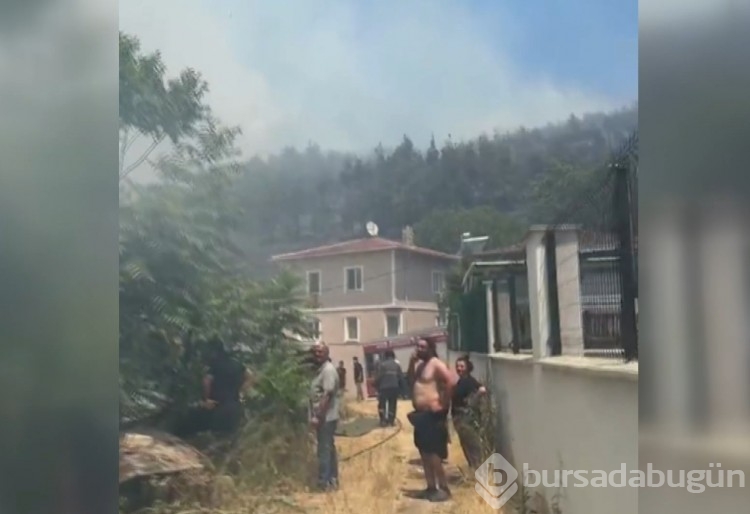 Bursa'daki yangından acı kareler...