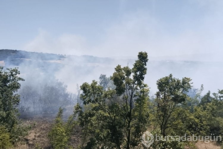 Bursa'nın ciğerleri cayır cayır yandı! Kahreden manzara 