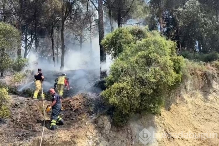 Bursa 1 hafta boyunca alevlere teslim oldu! İşte o cayır cayır yanan bölgeler... 