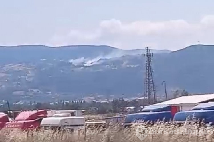 Bursa 1 hafta boyunca alevlere teslim oldu! İşte o cayır cayır yanan bölgeler... 