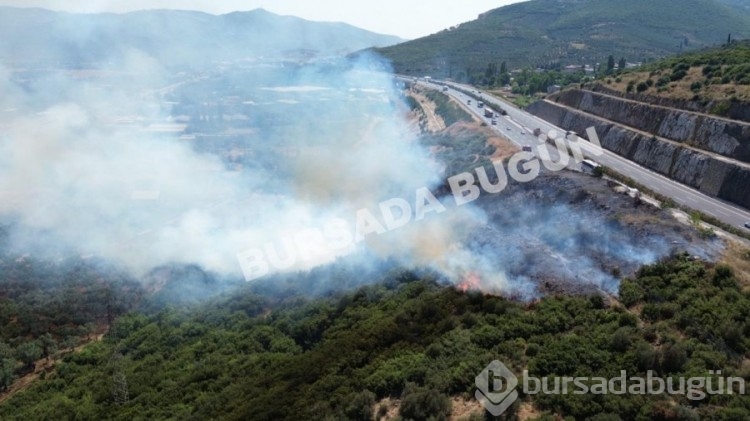 Bursa 1 hafta boyunca alevlere teslim oldu! İşte o cayır cayır yanan bölgeler... 