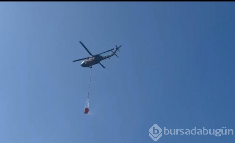 Bursa 1 hafta boyunca alevlere teslim oldu! İşte o cayır cayır yanan bölgeler... 