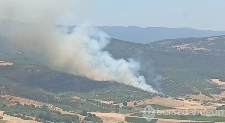 Bursa 1 hafta boyunca alevlere teslim oldu! İşte o cayır cayır yanan bölgeler... 