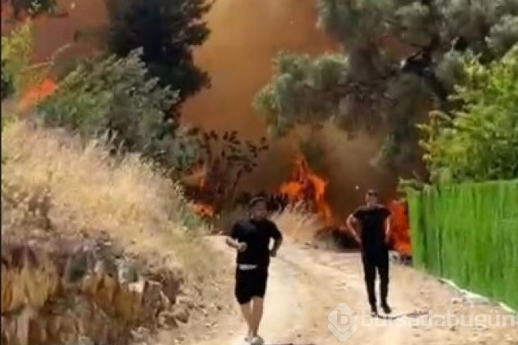 Bursa 1 hafta boyunca alevlere teslim oldu! İşte o cayır cayır yanan bölgeler... 