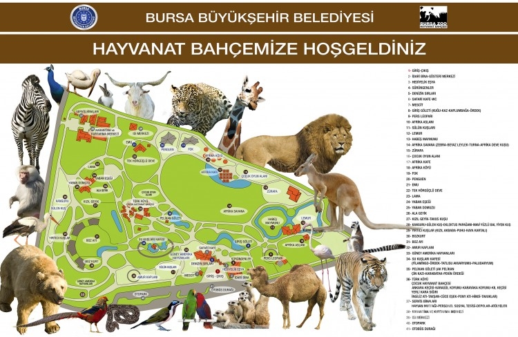 Bursa'da yaz tatilinde çocuklar için aktivite! En çok gitmek istedikleri yerler... 