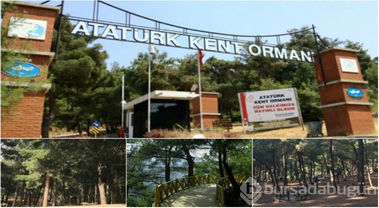 Bursa'da yaz tatilinde çocuklar için aktivite! En çok gitmek istedikleri yerler... 