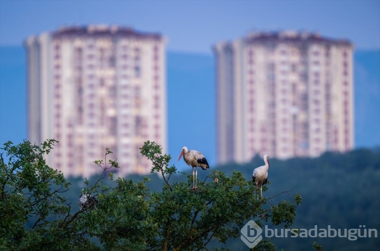 Bursa'da gökyüzünde büyüleyen manzara