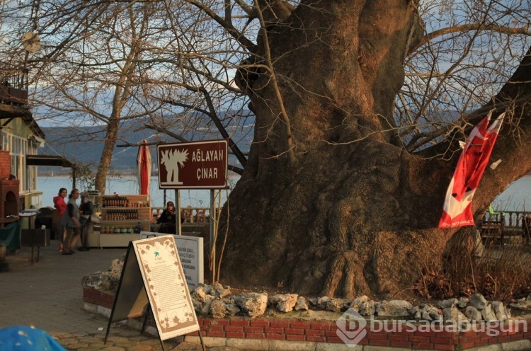 Bursa'nın tarihi anlamda en zengin köyü! Binlerce yıllık geçmişi var...