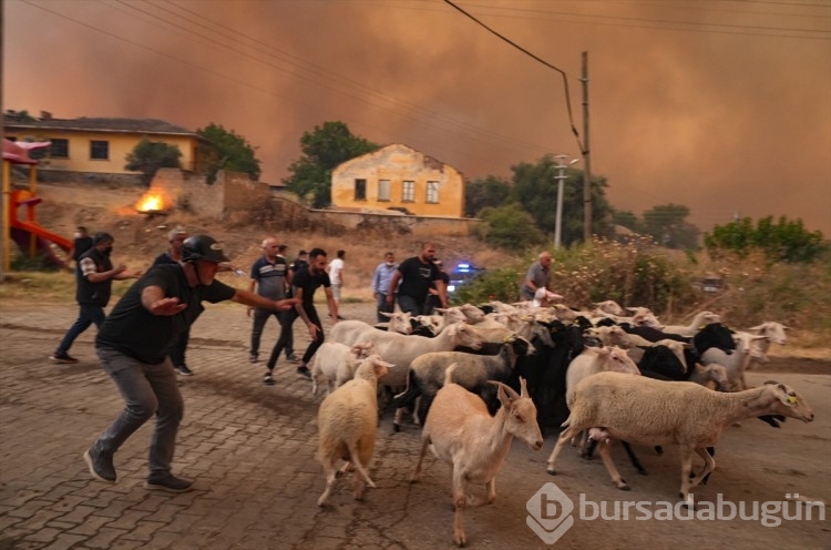 Büyük kaçış! Herkesin gözünde yaş var...