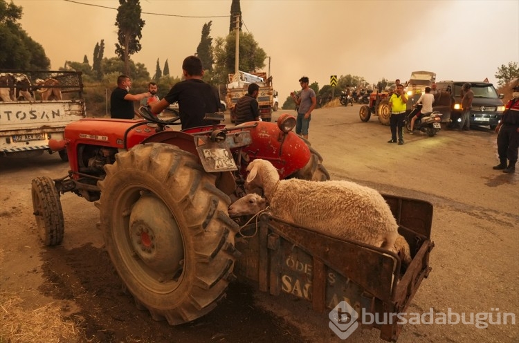 Büyük kaçış! Herkesin gözünde yaş var...