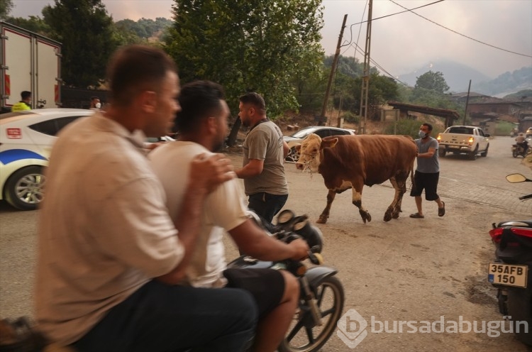 Büyük kaçış! Herkesin gözünde yaş var...