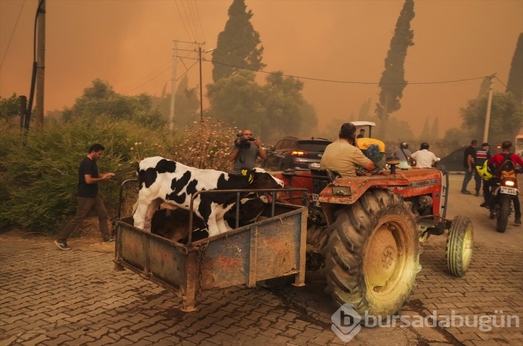 Büyük kaçış! Herkesin gözünde yaş var...