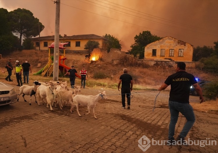 Büyük kaçış! Herkesin gözünde yaş var...