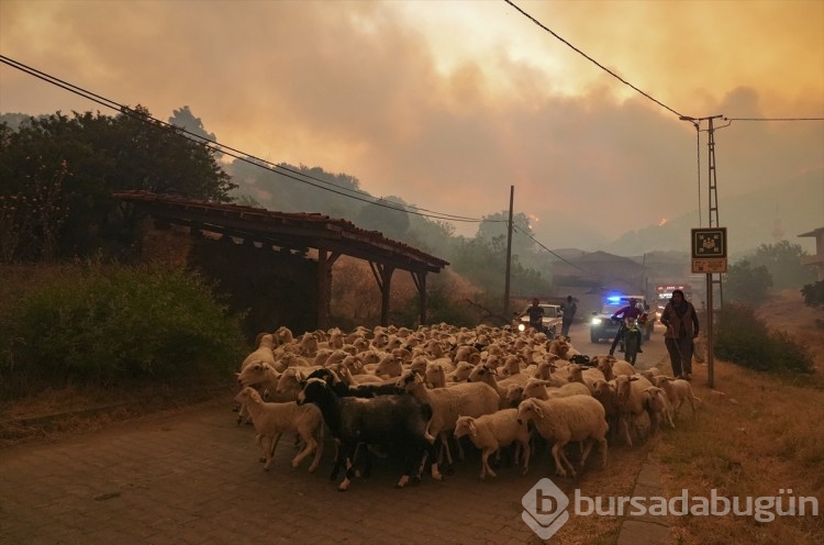 Büyük kaçış! Herkesin gözünde yaş var...