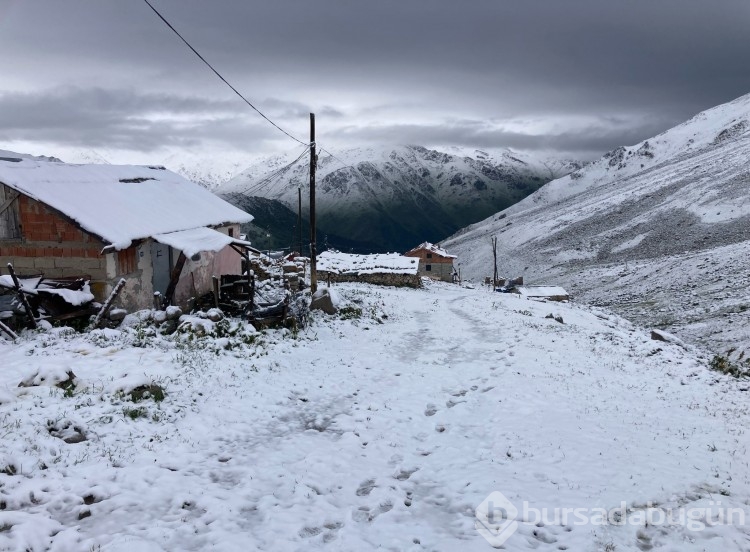 Yazın ortasında bembeyaz sürpriz! Gören hem şaşırdı hem de hayran kaldı... 