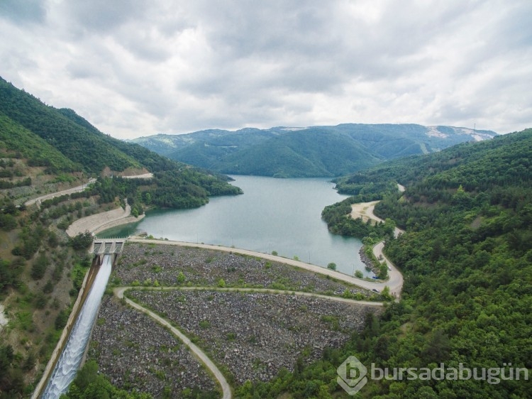 Uludağ'dan Süzülen Doğal Miras! Keşiş Dağı'nın Serin Suları...
