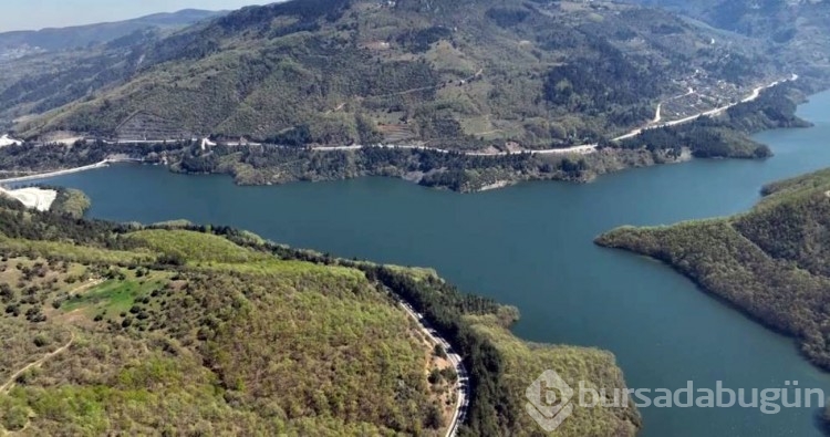 Uludağ'dan Süzülen Doğal Miras! Keşiş Dağı'nın Serin Suları...