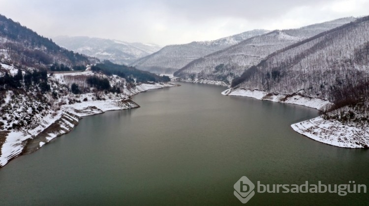 Uludağ'dan Süzülen Doğal Miras! Keşiş Dağı'nın Serin Suları...