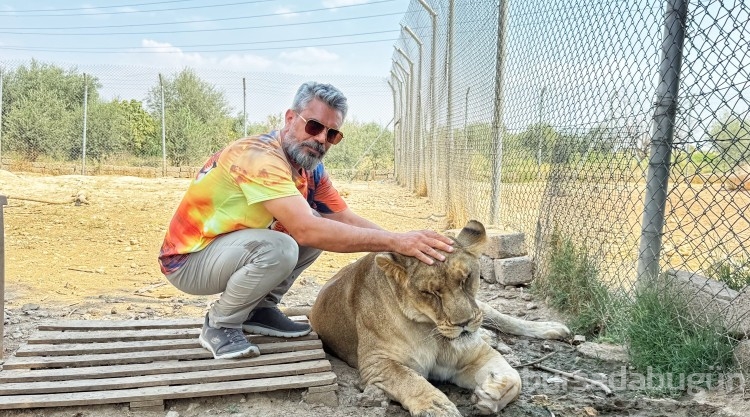 Vahşi hayvanlara tutku! 12 yıldır aslanlarla yaşıyor...