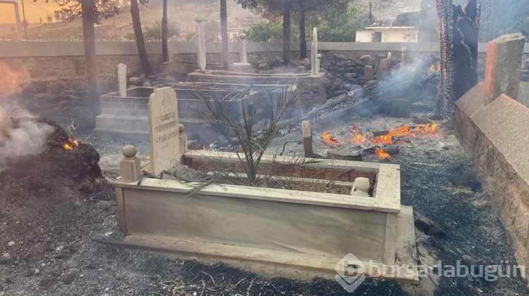 Yangın sonrası acı bilanço! Tarihi mezarlar zarar gördü...