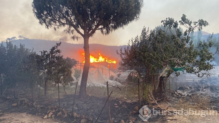 Yangın sonrası acı bilanço! Tarihi mezarlar zarar gördü...