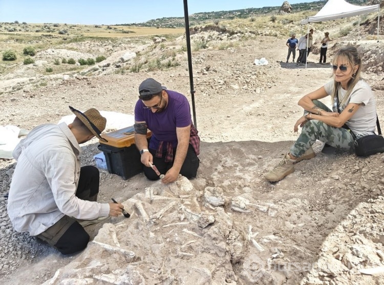 Anadolu'nun tarihi milyonlarca yıla dayanıyor! 7.7 milyon yıllık yaşam izleri...