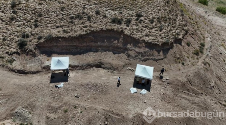 Anadolu'nun tarihi milyonlarca yıla dayanıyor! 7.7 milyon yıllık yaşam izleri...