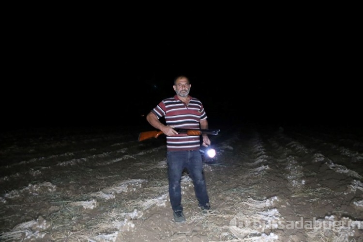 Kastamonu'nun gözdesi! Gece gündüz koruma altında...