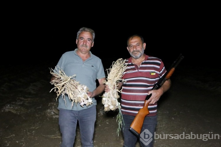 Kastamonu'nun gözdesi! Gece gündüz koruma altında...
