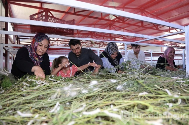 Bir şehri ayağa kaldıracak yatırım! Bölge ekonomisi resmen uçacak...