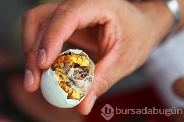 Bu yemekleri yemeğe cesaretiniz var mı? Dünyanın en ilginç 10 yemeği