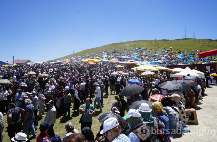  Karadeniz'in eşsiz yaylasında büyük coşku! Bu yıl da binlerce kişi toplandı...