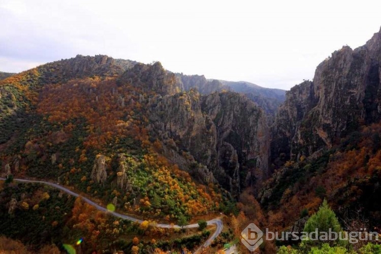 Bursa'da şehrin gürültüsünden uzak keyifli doğa gezileri...